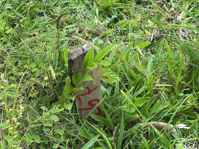 Terreno venda em Região Geográfica Imediata de Florianópolis, Garopaba