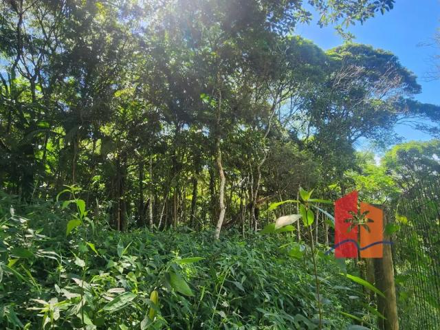Terreno venda em Região Geográfica Imediata de Florianópolis, Garopaba