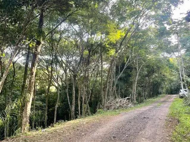 Terreno venda em Região Geográfica Imediata de Florianópolis, Garopaba
