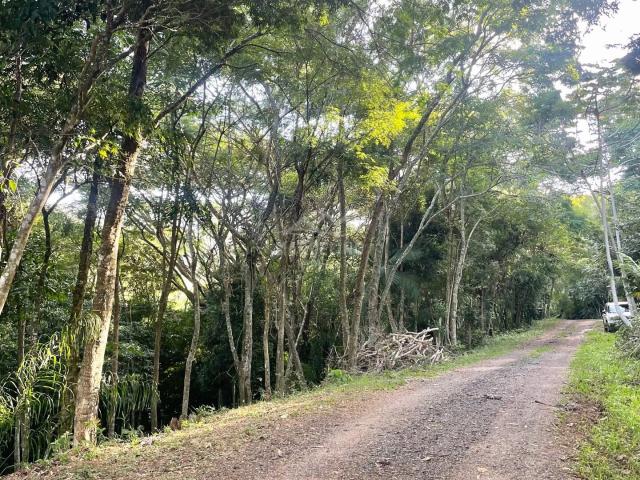Terreno venda em Garopaba, Região Geográfica Intermediária de Florianópolis