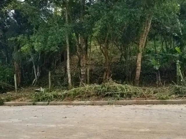 Terreno venda em Região Geográfica Imediata de Florianópolis, Garopaba