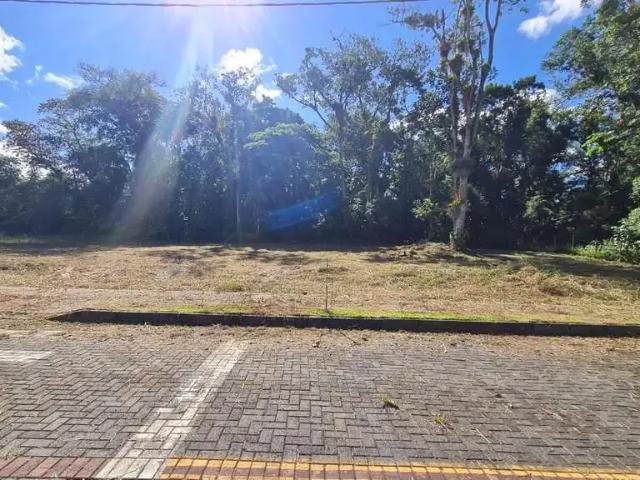 Terreno venda em Região Geográfica Imediata de Joinville, Garuva