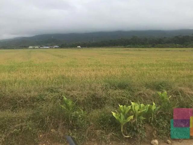 Terreno venda em Região Geográfica Imediata de Joinville, Garuva
