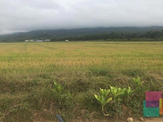 Terreno venda em Três Barras, Garuva