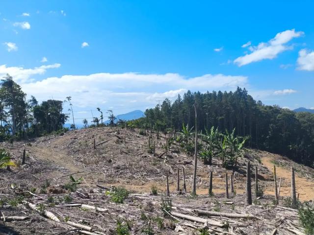 Terreno venda em Região Geográfica Imediata de Blumenau, Gaspar