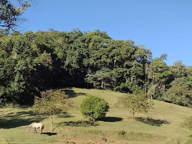 Terreno venda em Região Geográfica Imediata de Blumenau, Gaspar