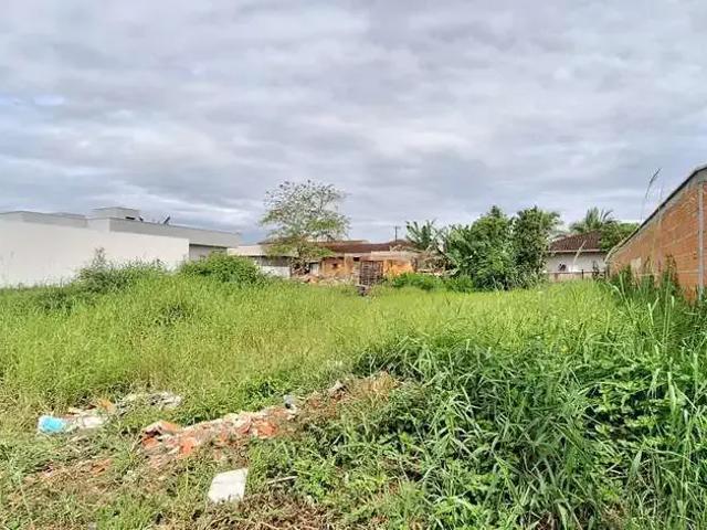 Terreno venda em Região Geográfica Imediata de Blumenau, Gaspar