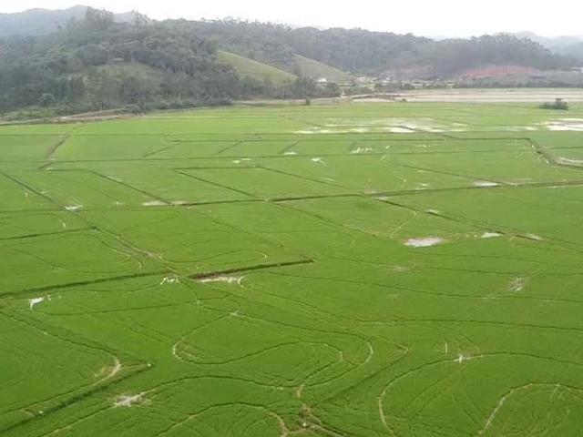 Terreno venda em Centro, Gaspar