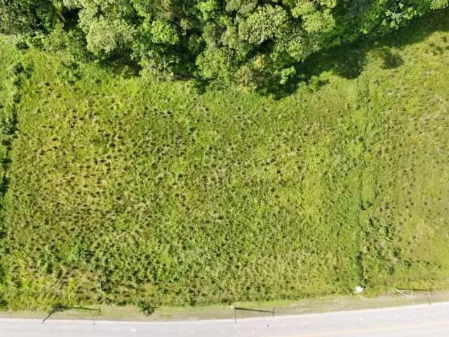 Terreno venda em Região Geográfica Imediata de Blumenau, Gaspar