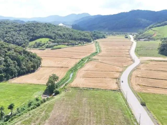 Terreno venda em Região Geográfica Imediata de Blumenau, Gaspar