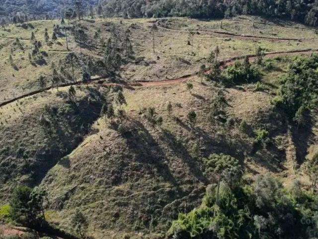 Terreno venda em Região Geográfica Imediata de União da Vitória, General Carneiro