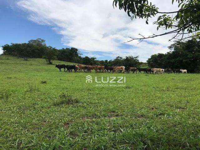 Terreno venda em Região Imediata de Araçatuba, General Salgado