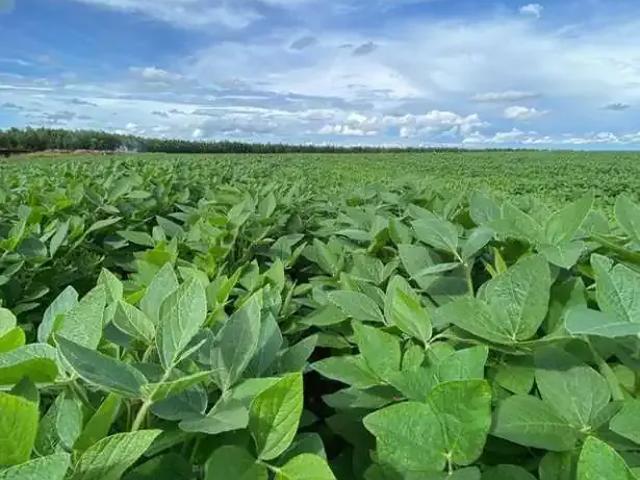 Terreno venda em Região Geográfica Imediata de Goiânia, Goiânia
