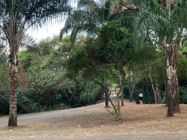 Terreno venda em Jardim Atlântico, Goiânia