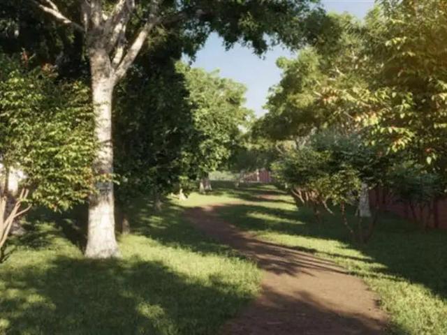 Terreno venda em Região Geográfica Imediata de Goiânia, Goiânia