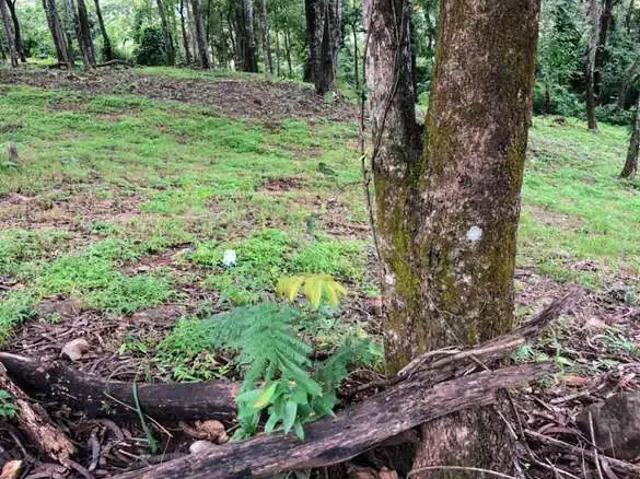 Terreno venda em Região Geográfica Imediata de Goiânia, Goiânia