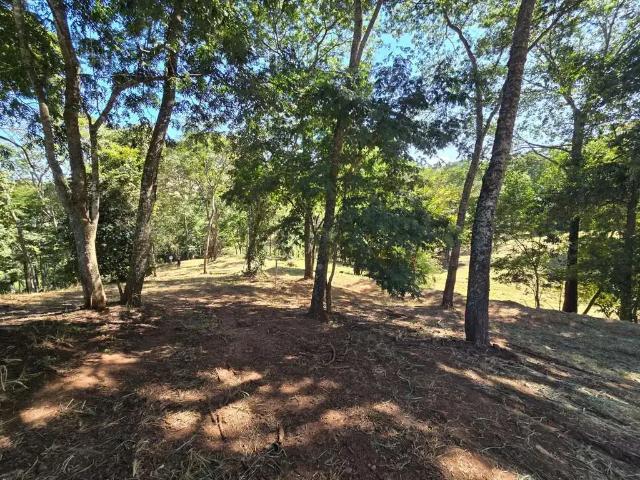 Terreno venda em Região Geográfica Imediata de Goiânia, Goiânia