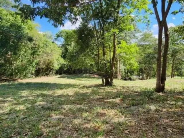 Terreno venda em Região Geográfica Imediata de Goiânia, Goiânia