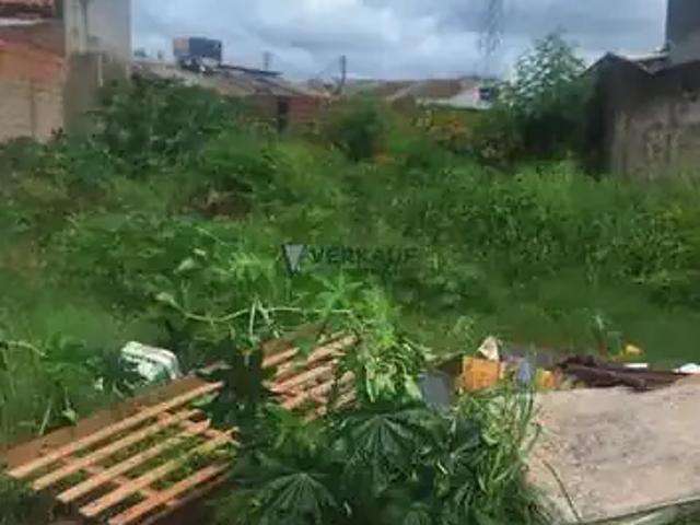 Terreno venda em Região Geográfica Imediata de Goiânia, Goiânia
