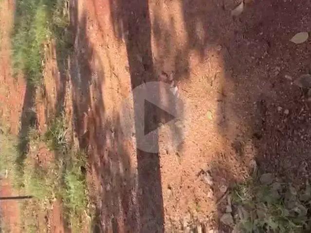Terreno venda em Região Geográfica Imediata de Goiânia, Goiânia