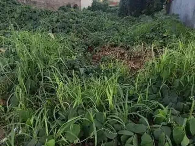 Terreno venda em Região Geográfica Imediata de Goiânia, Goiânia