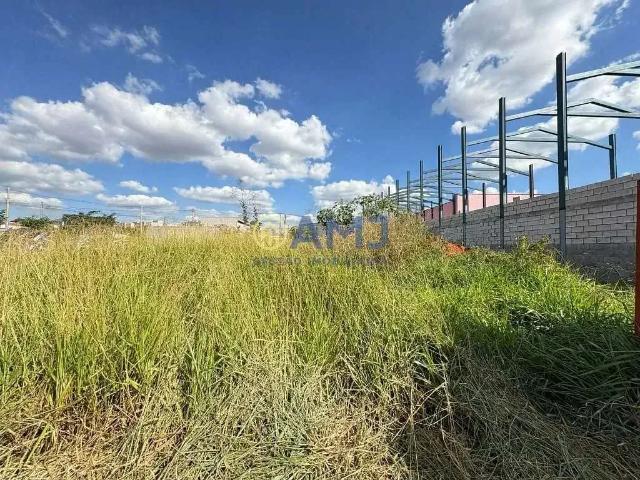 Terreno venda em Região Geográfica Imediata de Goiânia, Aparecida de Goiânia