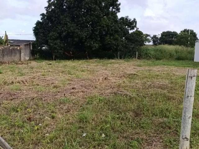 Terreno venda em Região Geográfica Imediata de Goiânia, Goiânia