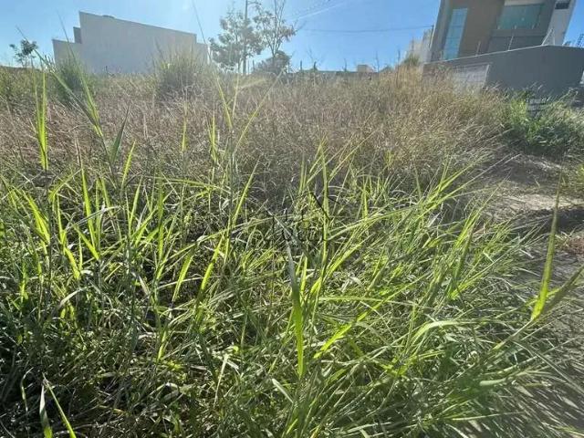 Terreno venda em Região Geográfica Imediata de Governador Valadares, Governador Valadares