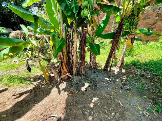 Terreno venda em Região Geográfica Imediata de Governador Valadares, Governador Valadares