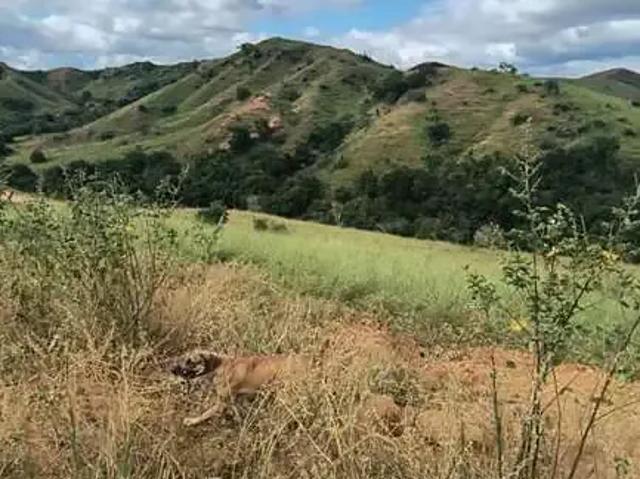 Terreno venda em Região Geográfica Imediata de Governador Valadares, Governador Valadares