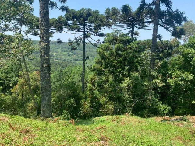 Terreno venda em Região Geográfica Imediata de Caxias do Sul, Gramado