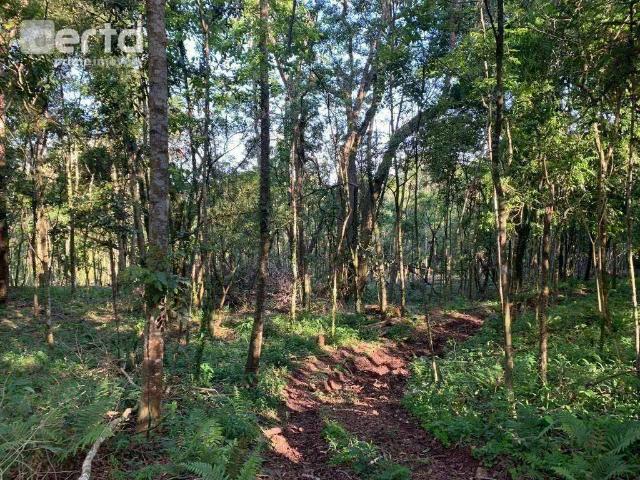 Terreno venda em Região Geográfica Imediata de Santa Cruz do Sul, Santa Cruz do Sul