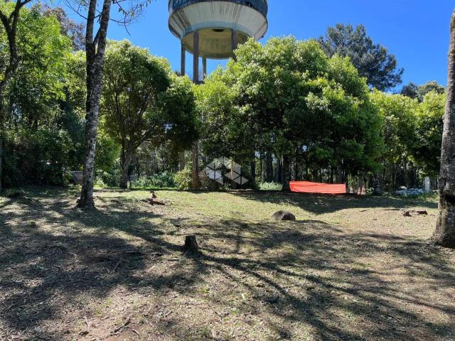 Terreno venda em Gramado