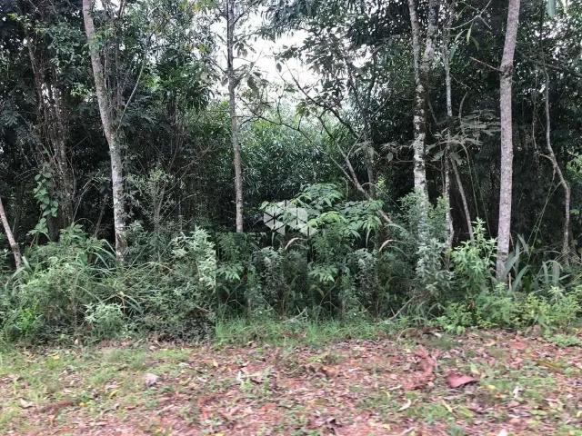 Terreno venda em Gramado