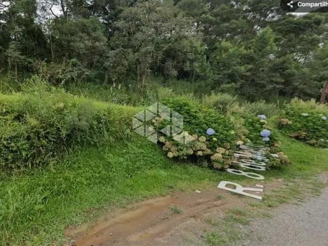 Terreno venda em Gramado