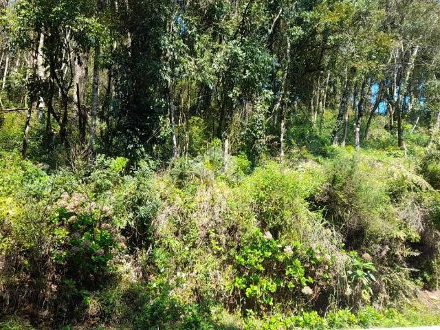 Terreno venda em Gramado