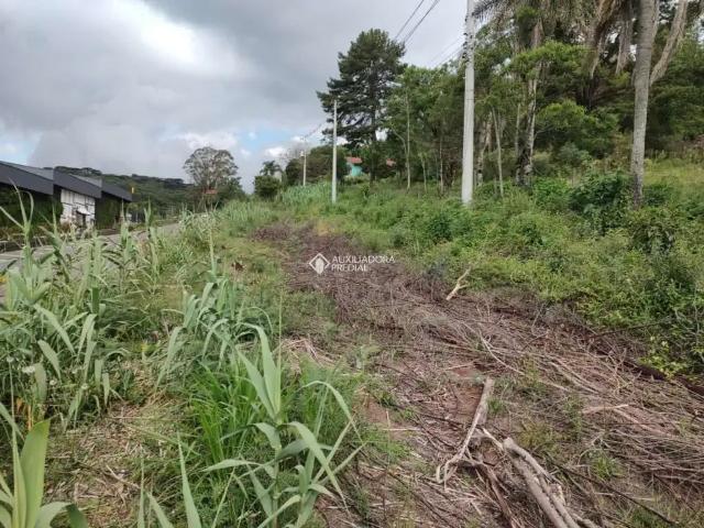 Terreno venda em Gramado