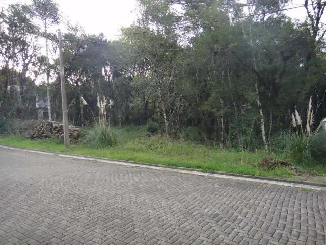 Terreno venda em Gramado