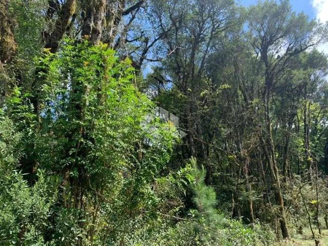 Terreno venda em Região Geográfica Imediata de Caxias do Sul, Canela