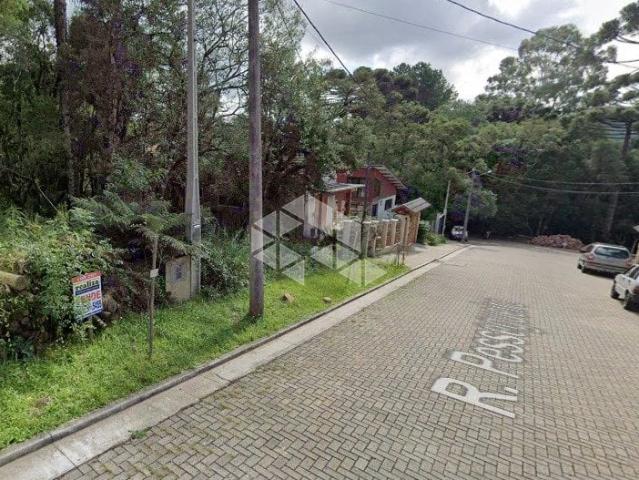 Terreno venda em Canela