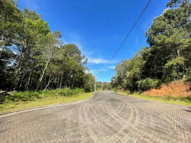 Terreno venda em Região Geográfica Imediata de Erechim, Barão de Cotegipe