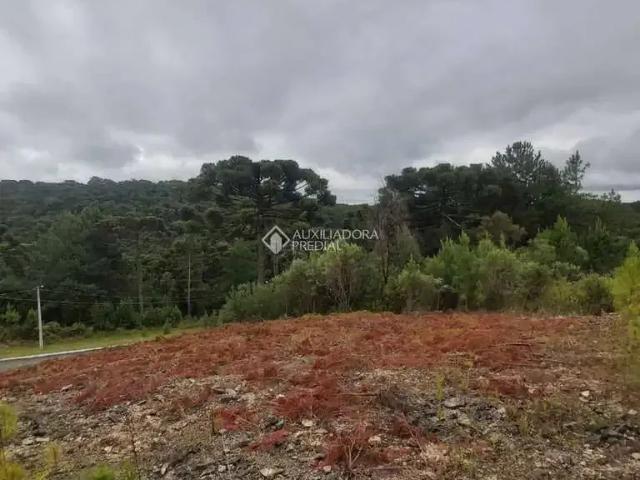 Terreno venda em Região Geográfica Imediata de Caxias do Sul, Gramado