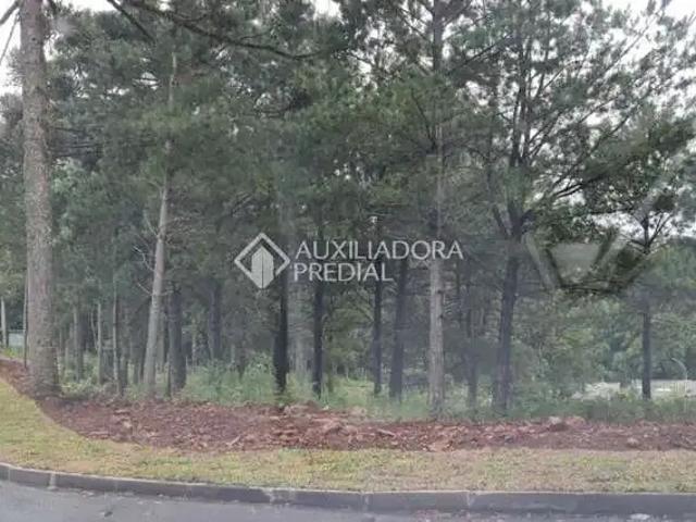 Terreno venda em Loteamento Marsal, Gramado