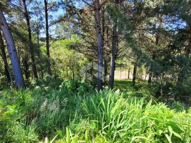 Terreno venda em Gramado