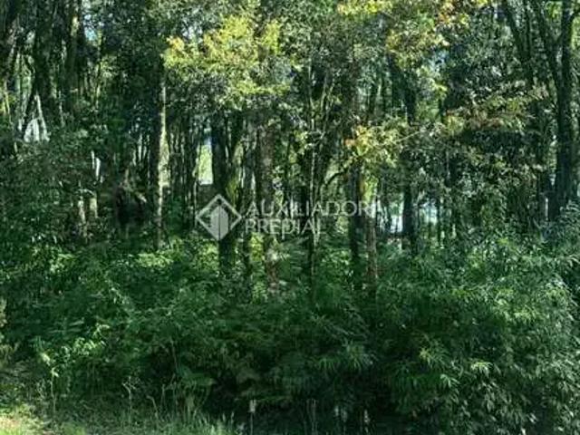 Terreno venda em Gramado