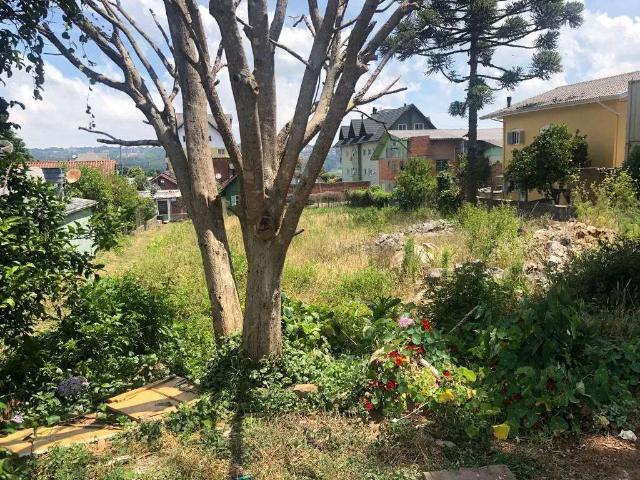 Terreno venda em Gramado