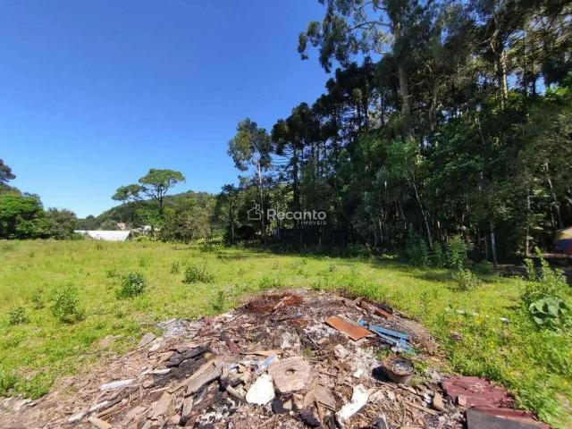 Terreno venda em Gramado