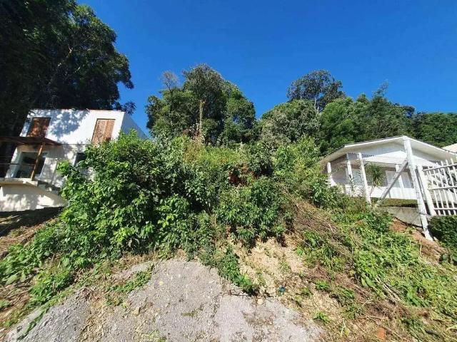 Terreno venda em Gramado