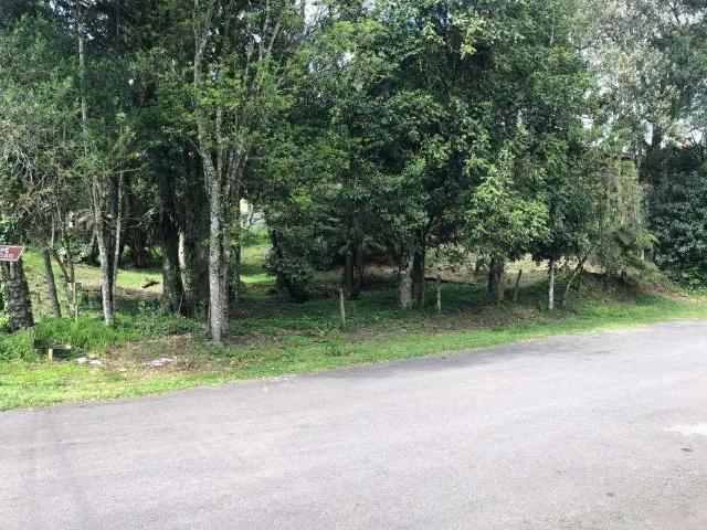 Terreno venda em Gramado