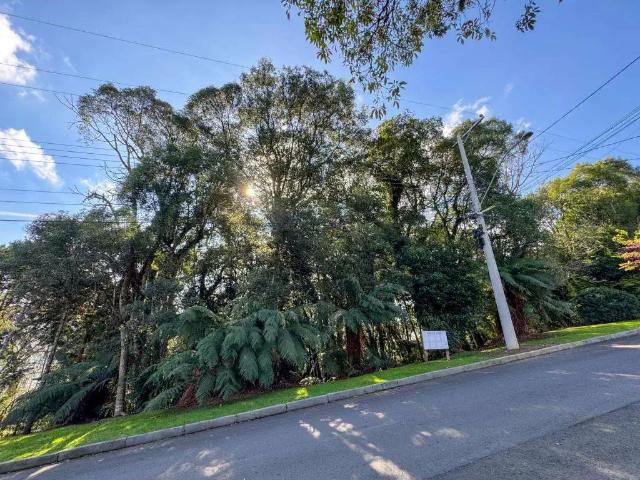 Terreno venda em Região Geográfica Imediata de Caxias do Sul, Gramado